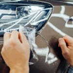 How To Spot Defects In Trees That Could Be Hazardous?